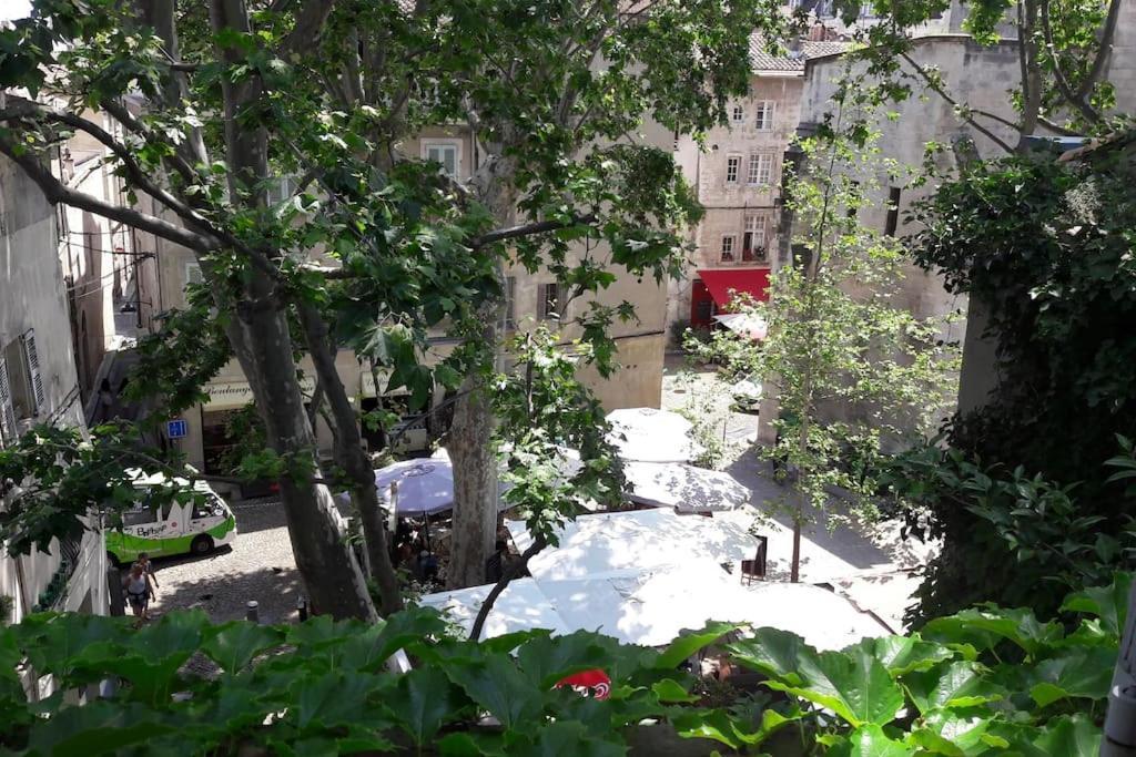 Renove, Vue Sur Palais Des Papes, Terrasse Et Wifi Troisieme Etage Appartement Avignon Buitenkant foto