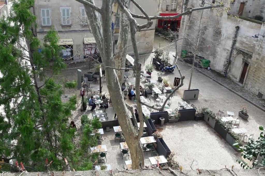 Renove, Vue Sur Palais Des Papes, Terrasse Et Wifi Troisieme Etage Appartement Avignon Buitenkant foto